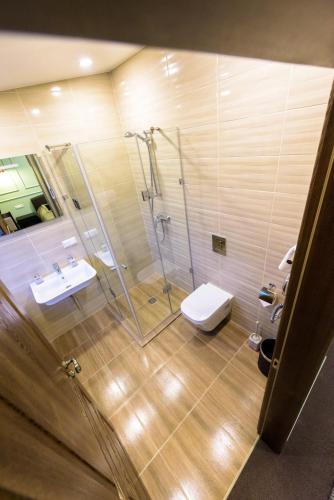a bathroom with a shower and a toilet and a sink at Villa Orchidea in Šakiai