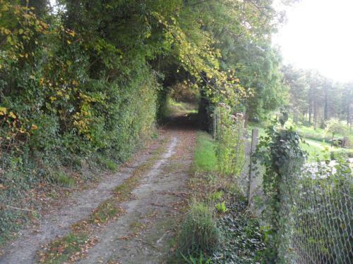a dirt road with a tunnel in a field at gite l oree de la foret in Incheville