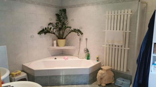 Privatzimmer Dimitrova tesisinde bir banyo