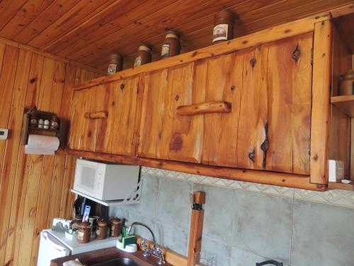 a kitchen with a sink and a wooden wall at Complejo "Nahuel Pan " in El Chalten