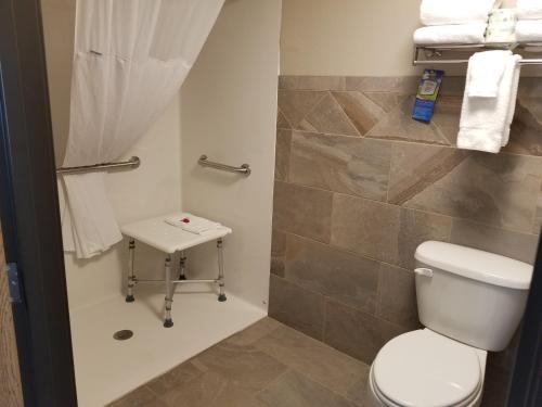 ein Bad mit einem WC und einer Dusche in der Unterkunft Baymont by Wyndham Oacoma in Oacoma
