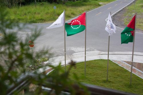 a group of flags on the side of a road at Los Brezos Hotel Boutique in Volcán