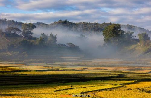 a foggy field with trees in the background at Mu Cang Chai Eco Lodge in Nam San
