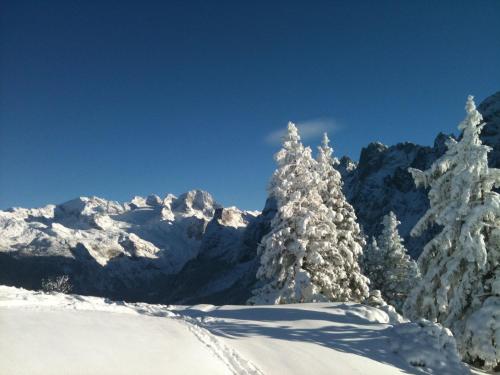 a group of trees covered in snow in front of a mountain at Sunseitn Apartments in Gosau
