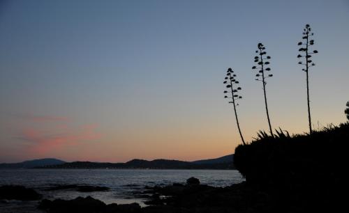 a sunset on the shore of a body of water at Domaine De La Bégude in Fayence