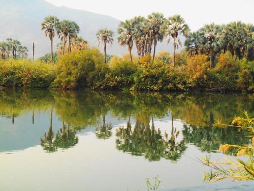 a river with palm trees and mountains in the background at Kapika Waterfall Lodge in Epupa