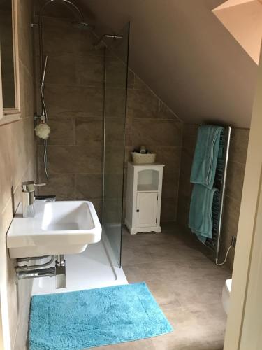 uma casa de banho com um lavatório e um chuveiro em Somersall Park Studio em Chesterfield