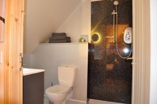 a bathroom with a toilet and a shower at Finlaystone Barns in Port Glasgow