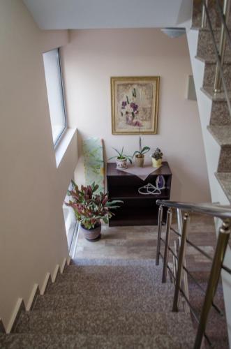 Fotografie z fotogalerie ubytování Guest House Dinevi v destinaci Sapareva Banja