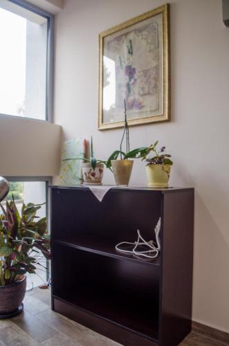 Fotografie z fotogalerie ubytování Guest House Dinevi v destinaci Sapareva Banja