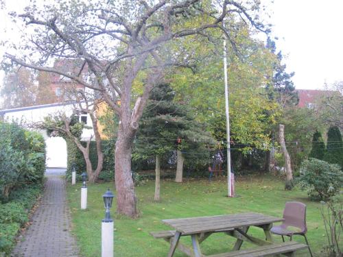 a picnic table and a chair next to a tree at Guesthouse Sharon Aarhus in Aarhus