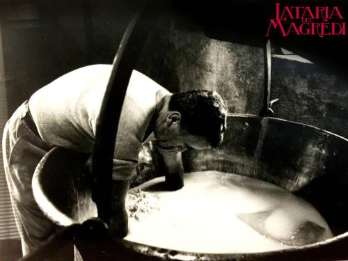 a man is bending over in a sink at Lataria dei Magredi in Vivaro