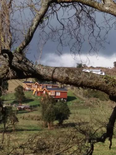 a tree branch in front of a red house at Chacra Don Benito Chonchi in Chonchi
