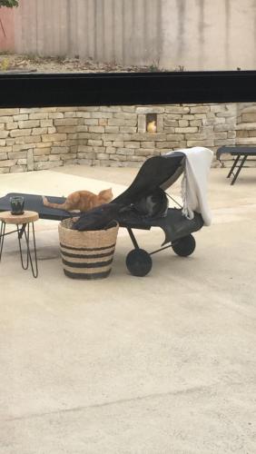 Επισκέπτες που μένουν στο Spa campagne design