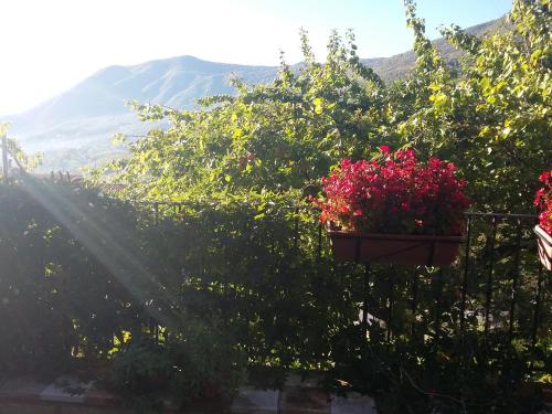 Un paisaje natural cerca of the bed and breakfast