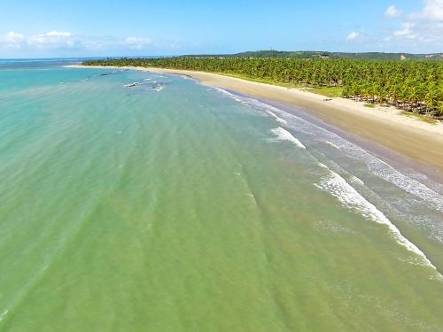 an aerial view of a beach with the ocean at Igarakuê Flat in Japaratinga