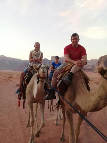 Animales en el camping o alrededores
