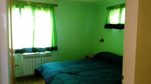 a green bedroom with a bed and a window at Departamentos de Alquiler Turistico: Familia Eguren in San Carlos de Bariloche