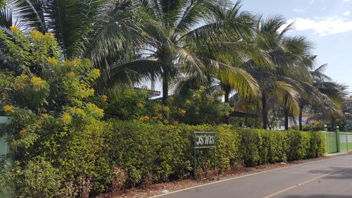 a street with palm trees and a stop sign at Warakorn Baansuan Amphawa in Amphawa