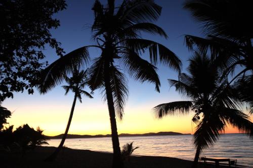 a sunset on the beach with palm trees at Eden Lodge in Madirokely