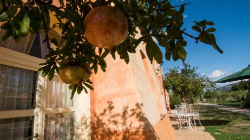 Gallery image of Residence La Beccanina in Scarlino