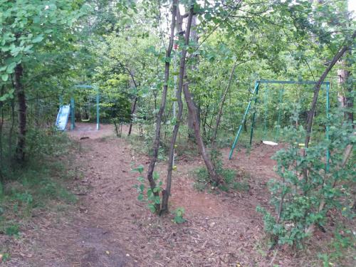 a forest with a swing set in the woods at Landgoed Huize Glory in Bergen aan Zee