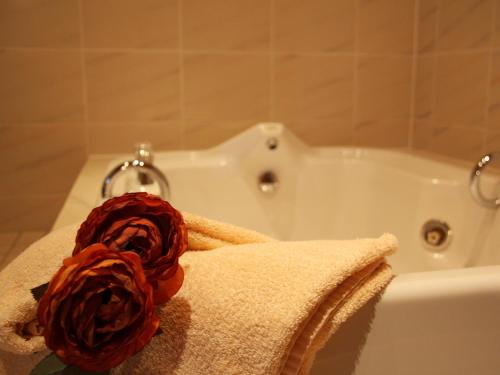 eine rote Rose auf einer Badewanne in der Unterkunft Hotel Haus Salzberg garni in Schleiden