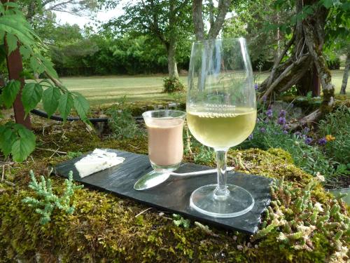 a glass of white wine and a glass of pink drink at Préchac Park in Préchac