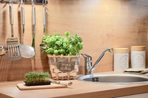 een aanrecht met een gootsteen, een plant en keukengerei bij Villa Strandblick 5 in Zingst