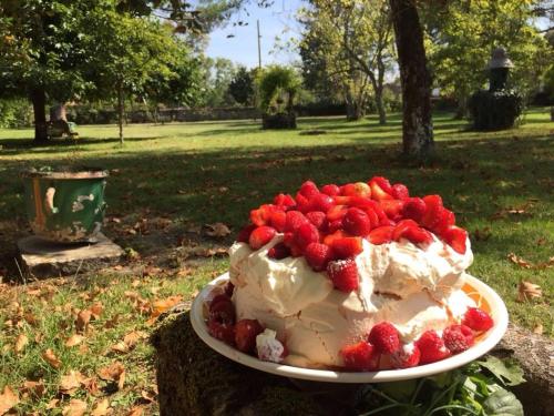 a cake with strawberries on a plate in a park at Préchac Park in Préchac