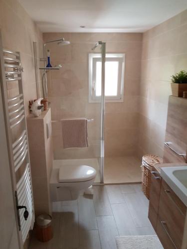 une salle de bain avec une douche, des toilettes et un lavabo dans l'établissement Maison Provencale, à Cavalaire-sur-Mer