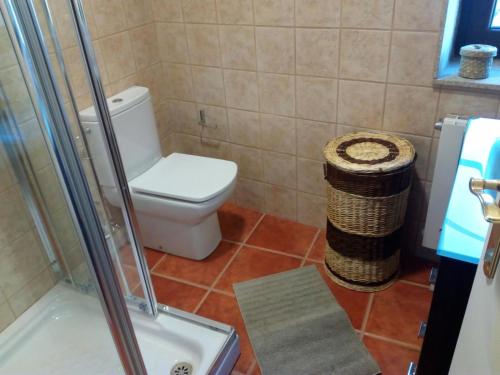 a bathroom with a toilet and a glass shower at A Casiña de Esther in Teo