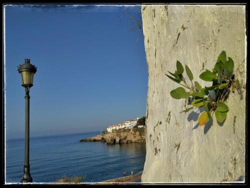 Φυσικό τοπίο κοντά σε αυτός ο ξενώνας