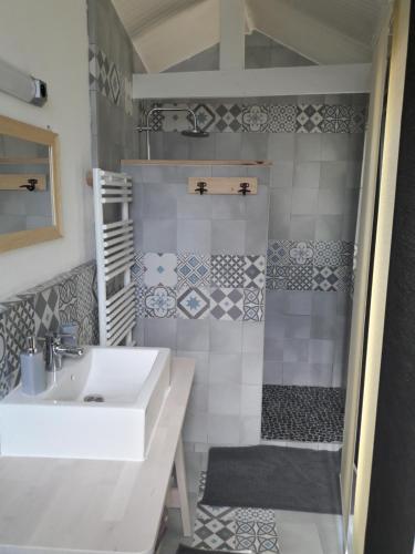 een badkamer met een wastafel en een douche bij La Marelle in Avrillé-les-Ponceaux