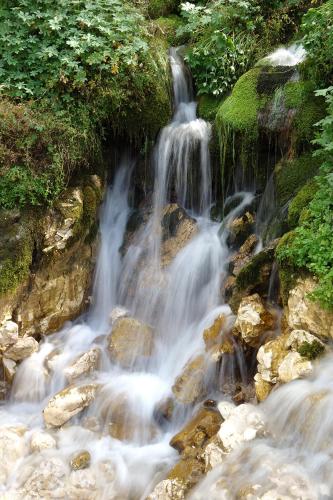 a stream of water rushing over rocks in a forest at Apartma pod Rožem in Soča