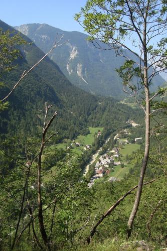 a view of a valley in the mountains with trees at Apartma pod Rožem in Soča
