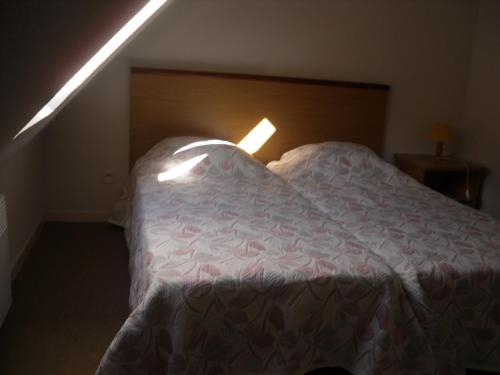 リュス・サン・ソヴァールにあるChalet à Luz Saint Sauveur 65のベッドルーム1室(ライト付)