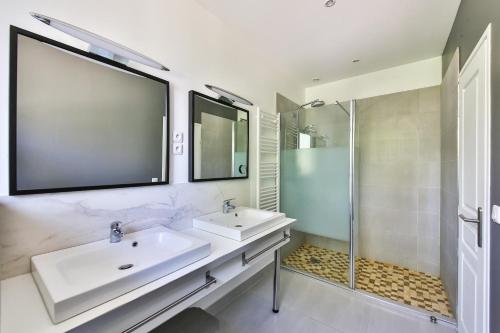 een badkamer met een wastafel, een douche en een spiegel bij Belle vue in Montsoreau
