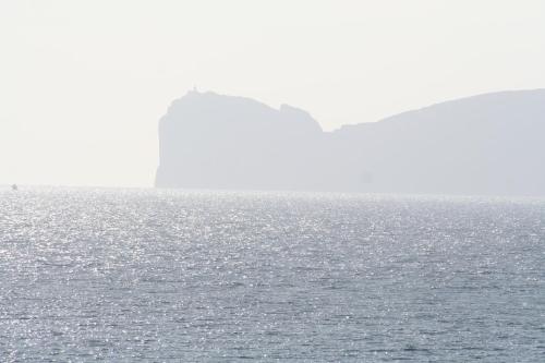 ホテルの近くで見られる自然の景観