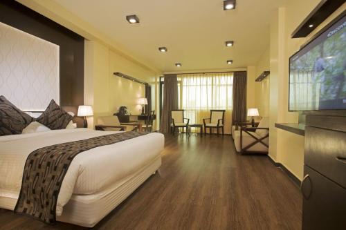 United Business Hotel في كاتماندو: غرفة فندقية بسرير وتلفزيون بشاشة مسطحة