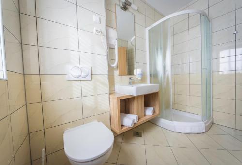 a bathroom with a toilet and a sink and a shower at Domačija Vodnik & Apartments in Cerklje na Gorenjskem