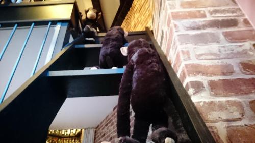 a group of teddy bears sitting on a wall at Yadoya Lodge in Kyoto