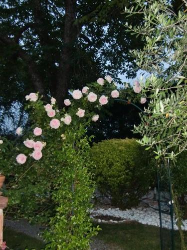 La Villa des Violettes photo 57