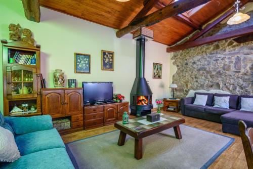 a living room with a blue couch and a fireplace at Apartamentos Rurales Balcón Real Senda del Oso in Campiello