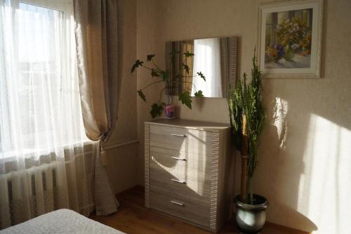 クラスノダールにあるApartments Rossiyskayaのベッドルーム(鏡付きドレッサー、植物付)