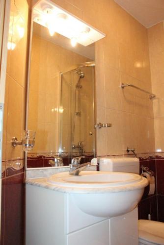 a bathroom with a sink and a shower and a mirror at Dems in Živogošće