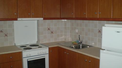 a kitchen with a white stove and a sink at Evangelia in Ayia Evfimia