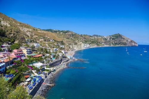 an aerial view of a beach and the ocean at Hotel Loreley in Ischia
