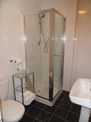 a bathroom with a shower and a toilet and a sink at Lingmoor in Windermere