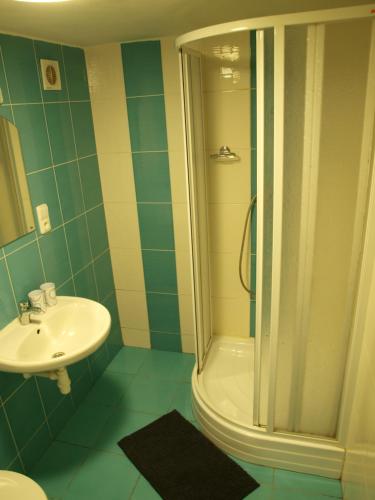 Kúpeľňa v ubytovaní Apartmány zLosin